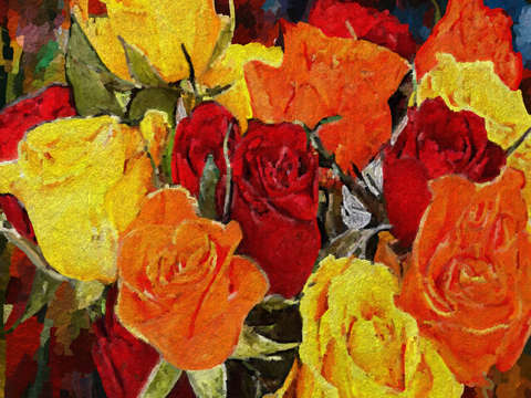 Roses are