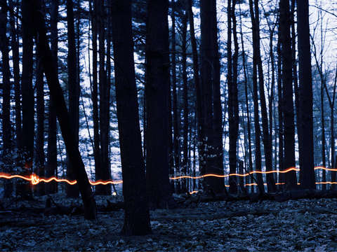 Guided By the Lantern's Light