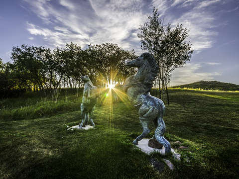 Frolicking horse statues sunrise