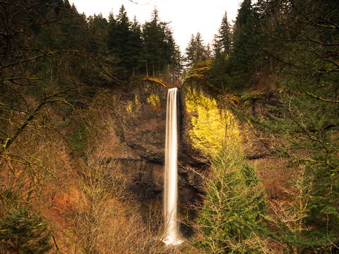 The Great Multnomah Falls