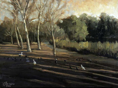Central park nil ducks and pigeons