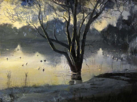 Central park at dawn