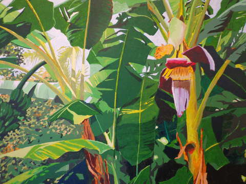Rain forest