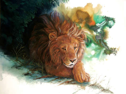 Lion nap
