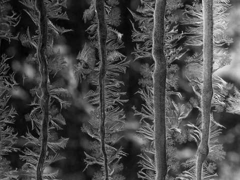 Clairs window in a winter cold snap