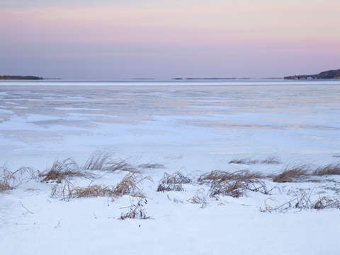 Winter still