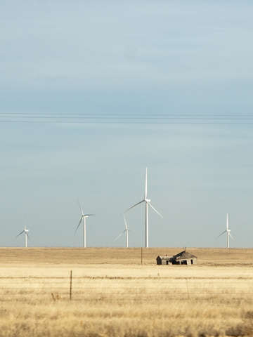 Dust bowl