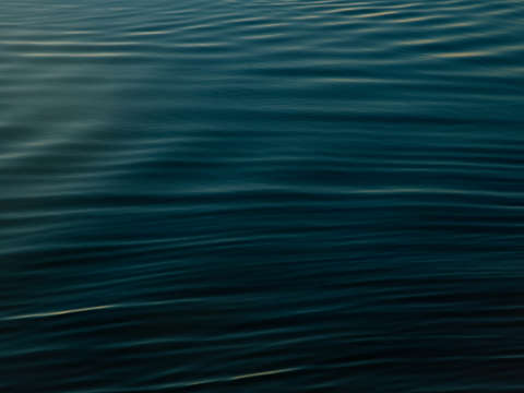 Texture 1
