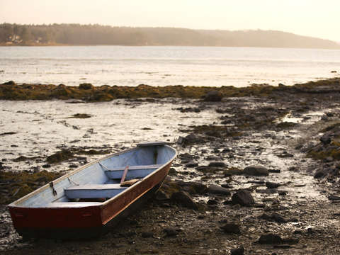 Boat at low tide