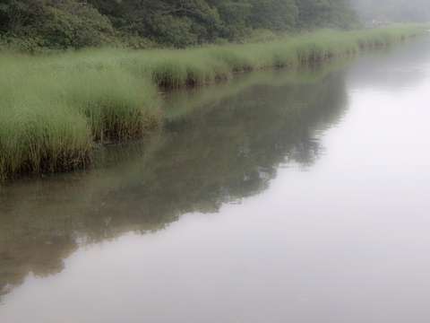 Taylor's Pond, South Chatham