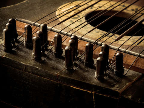 Stringed instrument