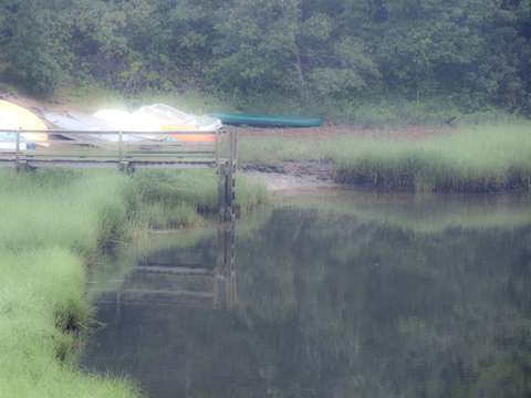 Taylor's Pond, South Chatham 2