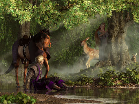 Lost in the enchanted forest