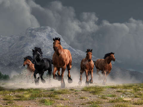 Thunder on the plains