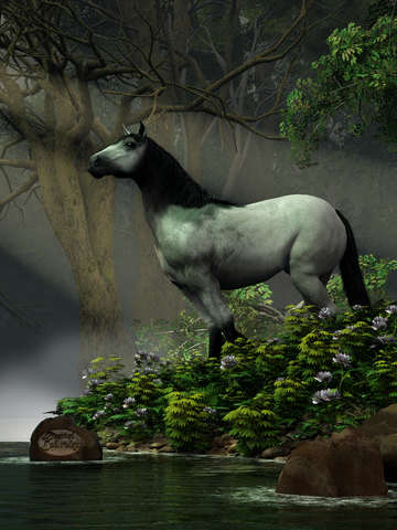 Wild horse in the forest