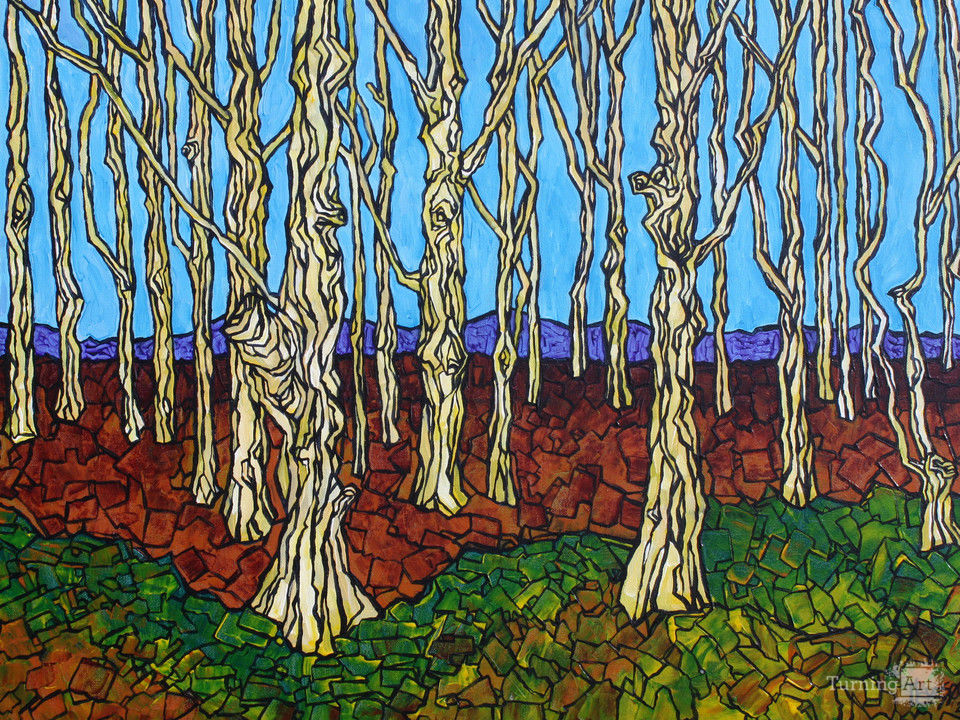 Enchanted forest
