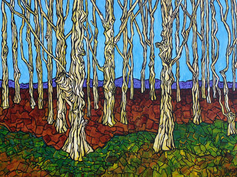 Enchanted forest