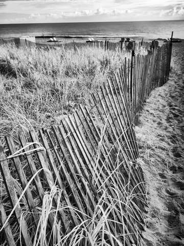 Fence By The Sea