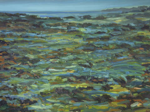 Tide pools on the horizon
