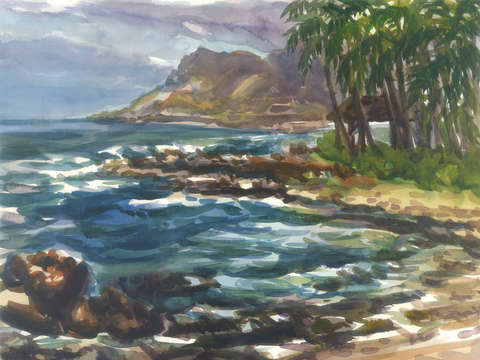 Hawaii maui paradise cove