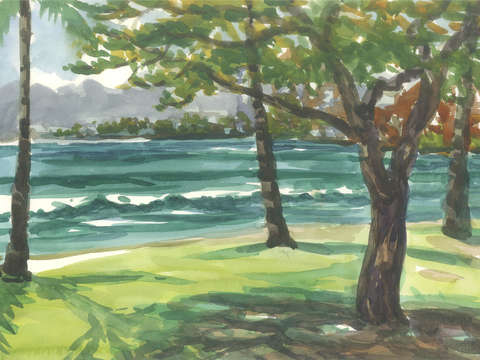 Hawaii waikiki park
