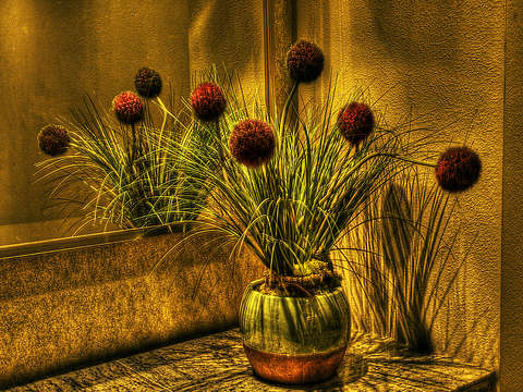 Still life at the reiners