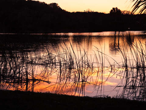 Reflection 1