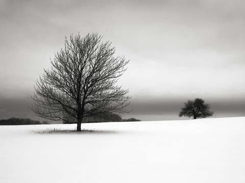 One Winter Day