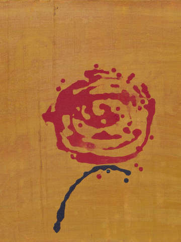 Red rose 4