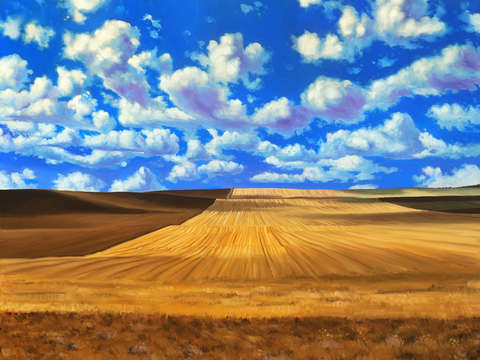After the Harvest; North Dakota Wheat Field