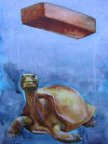 Tortoise 2