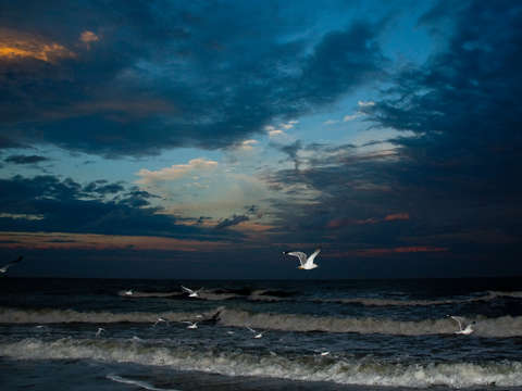 Florida beach