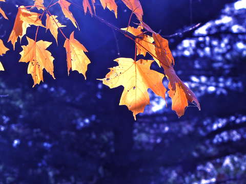 Fall 3