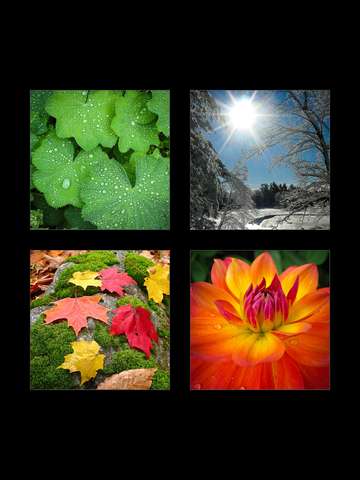 Four seasons