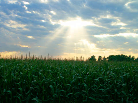 Nebrask sunsplash