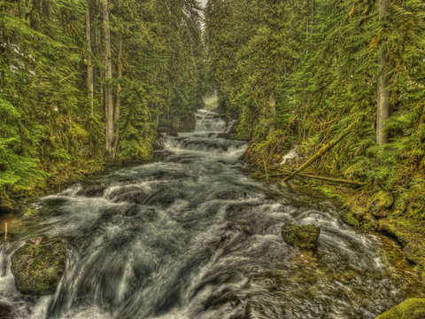 McKenzie River #4