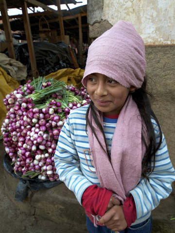 The Market
