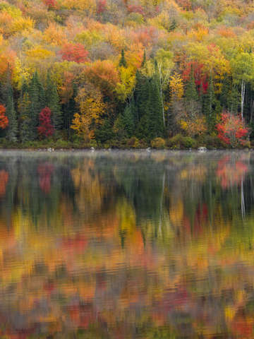 Autumn Shore
