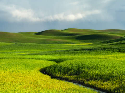 Growing Season