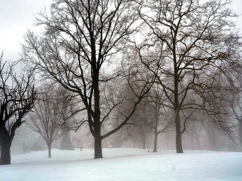 Blizzard