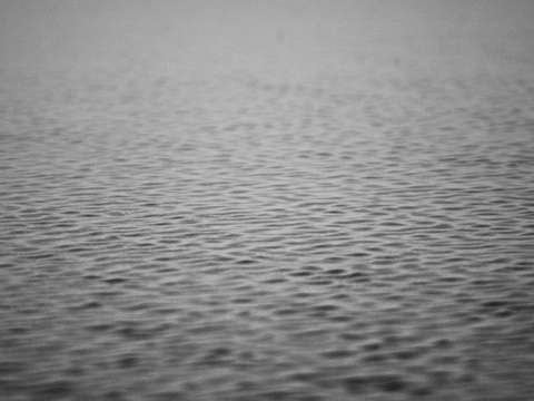 Texture 4