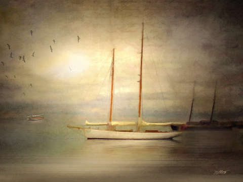 Harbor mist