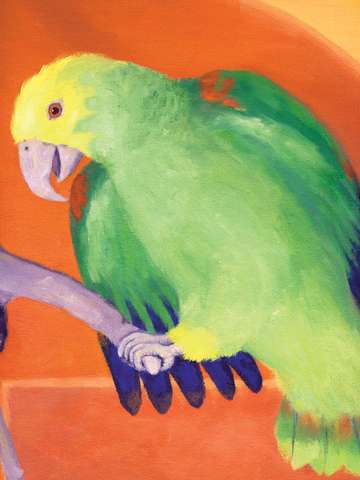 Simon the parrot