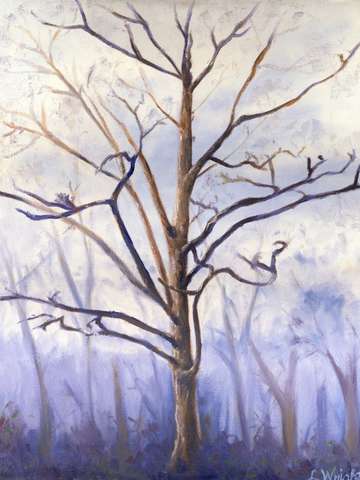 Big tree