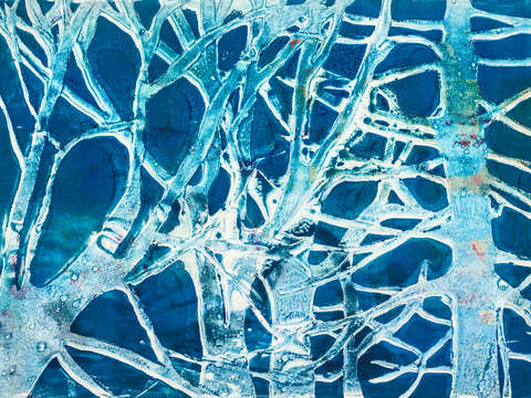 Frosty