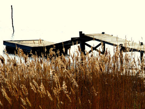 Solitude 7