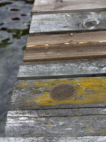 Ageing dock