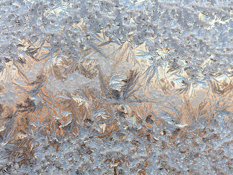 Winter pattern