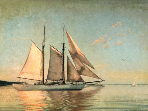 Sunset sail