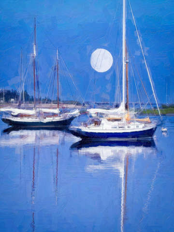 Harbor moonlight